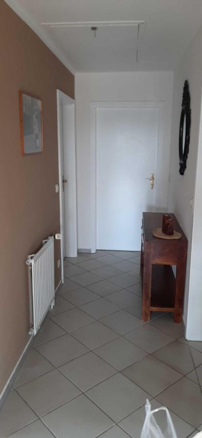Ferienwohnung Bluetenblick Bachenbrock Exterior photo